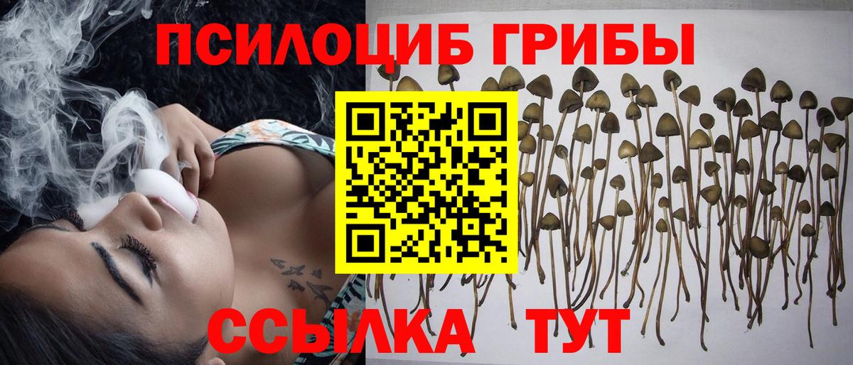 Галлюциногенные грибы мицелий Семёнов