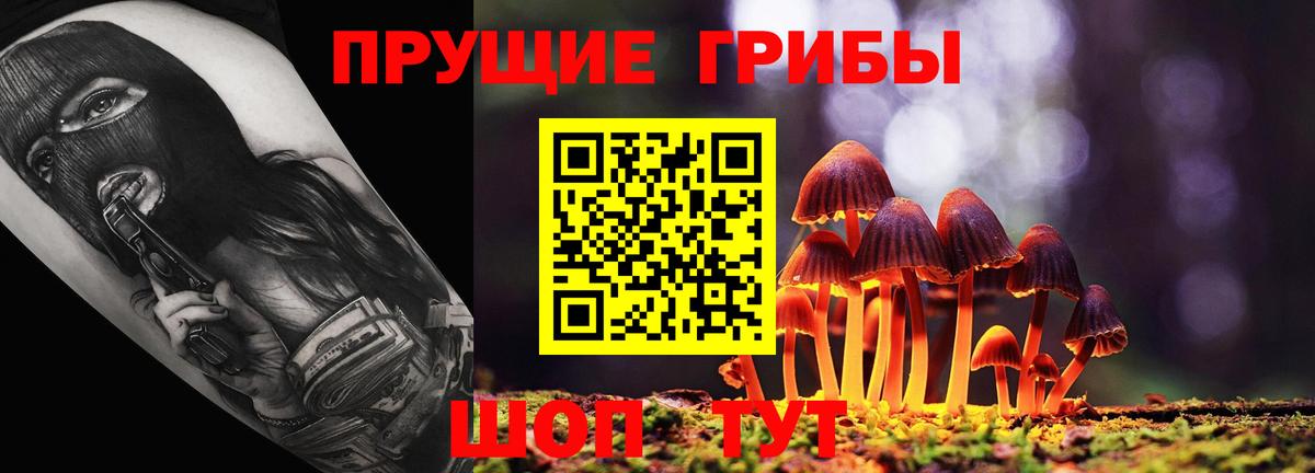 Псилоцибиновые грибы Magic Shrooms  Галлюциногенные грибы Magic Shrooms  Вход с VPN  закладки  Семёнов 